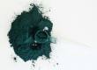 espirulina web