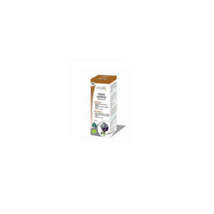 Alcachofera (cynara scolymus) extracto hidroalcoholico bio 100ml Physalis
