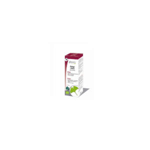 Ginkgo biloba extracto hidroalcoholico bio 100ml Physalis