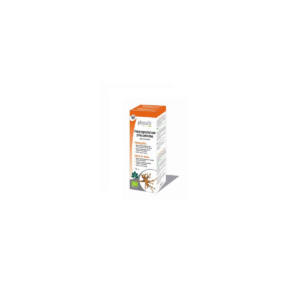 Harpagofito (harpagophytum procumbens) extracto hidroalcoholico bio 100ml Physalis