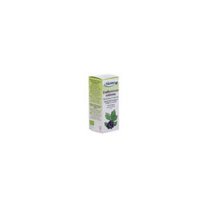 Tintura Eleuterococo-Eleutherococcus senticosus Bio 50ml Biover